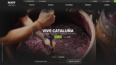 Njoy Catalonia - Creación de Sitios Web