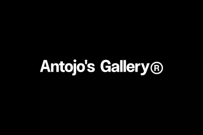 Antojo´s Gallery - Creación de Sitios Web