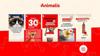 Stratégie Social Media - Animalis - Production Vidéo