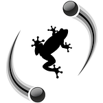 Quantenfrosch
