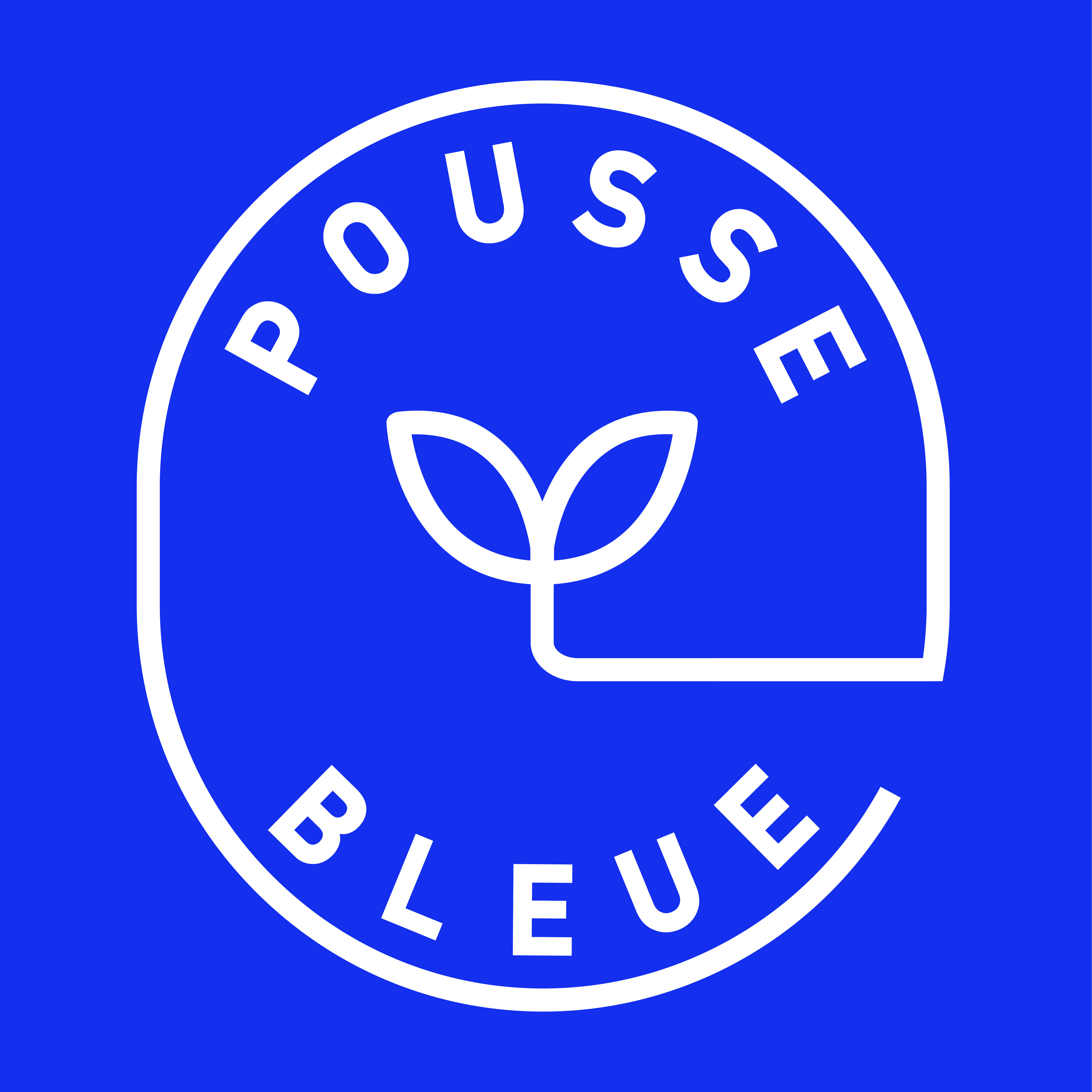 Pousse Bleue