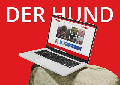 Redesign DerHund.de - Webseitengestaltung