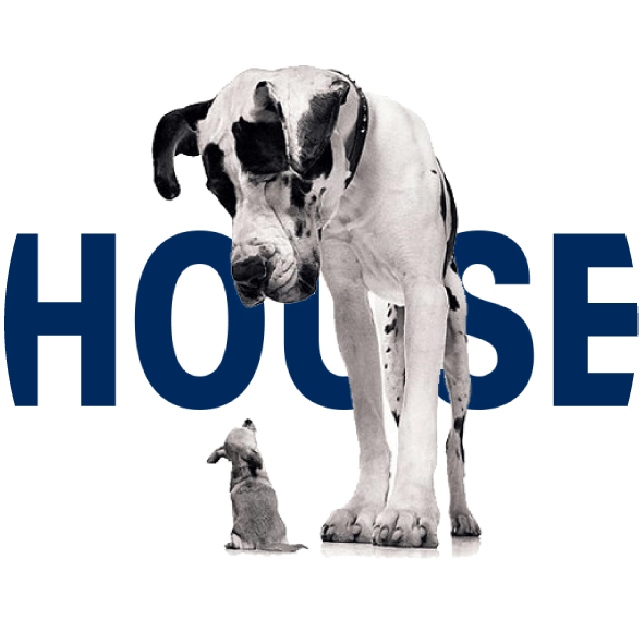 House of Communications