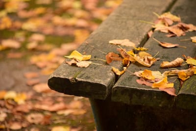 Relocations at the end of life - Datenberatung