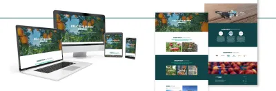 From Orchard to Online: Building SHARP Fruit’s Digital Presence - Branding & Positioning