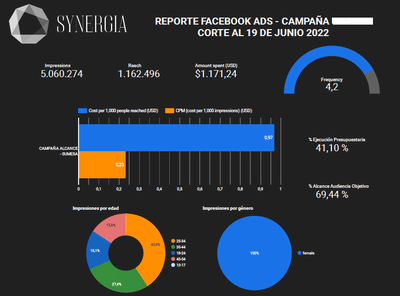 Facebook Ads - Publicité en ligne