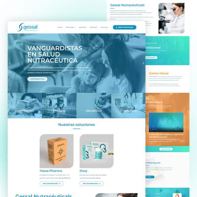 Diseño y desarrollo web para Gessal - Création de site internet
