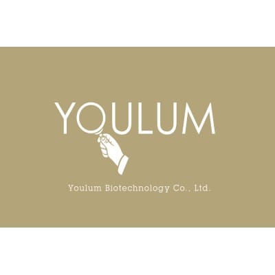 Youlum Business
