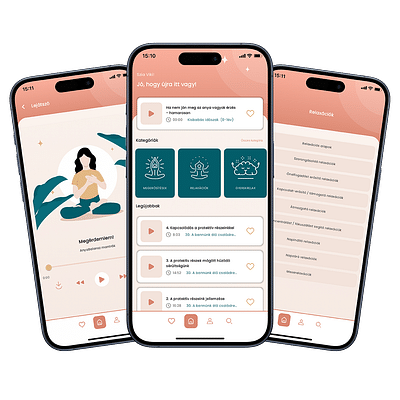 Anyabalansz Mobile App - Développement de Logiciel