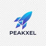 Peakxel Studio logo