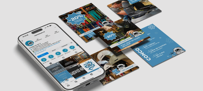 +420% du chiffre d’affaires avec une stratégie de marketing digital - Advertising