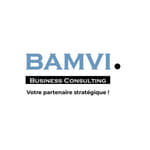 Barazi Consulting logo