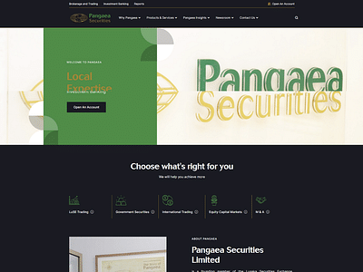 Website for Pangaea Securities - Référencement naturel