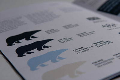 Polar Endurance – brand strategy and identity - Image de marque & branding