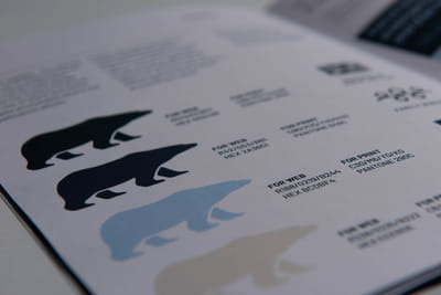 Polar Endurance – brand strategy and identity - Branding & Positioning