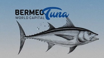 Bermeo Tuna - Audio Productie