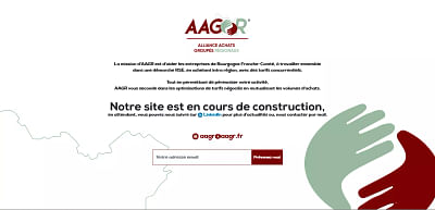 Charte Graphique et page web temporaire - Creazione di siti web