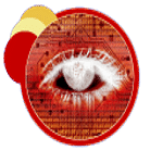 Eeckweb design
