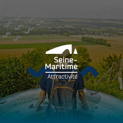 SITE WORDPRESS : Seine Maritime Attractivité - Creación de Sitios Web