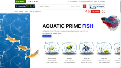 Creative website design (selling aquarium fish) - Création de site internet