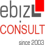 ebiz-consult GmbH & Co. KG