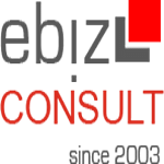 ebiz-consult GmbH & Co. KG logo