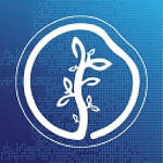 SEO & Grow | SEO & PPC Agency Dublin
