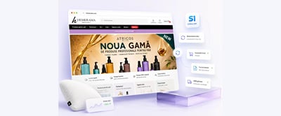 Real-time SoftOne ERP sync for the Hemerama online store - Développement de Logiciel