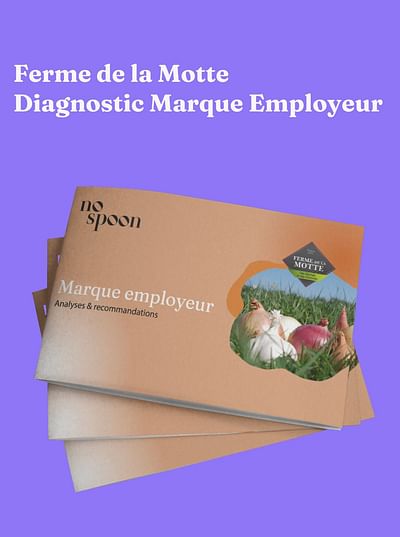 Diagnostic Marque Employeur 360 - Branding & Positionering