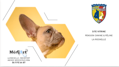 Site internet vitrine pour une pension canine à La Rochelle - Webseitengestaltung