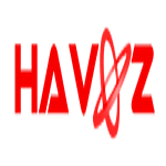 Havooz ICT Services