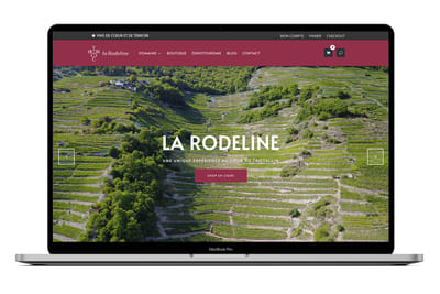 E-commerce La rodeline - E-Commerce