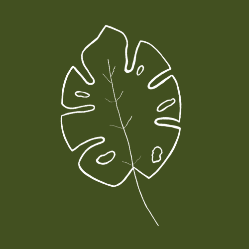 Webjungle.ch