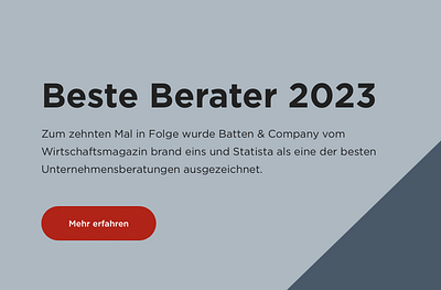 Optimierung für führende Top-Unternehmensberatung - Onlinewerbung