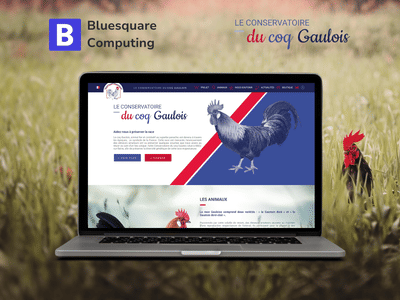 Développement d’un site vitrine associatif - Website Creation