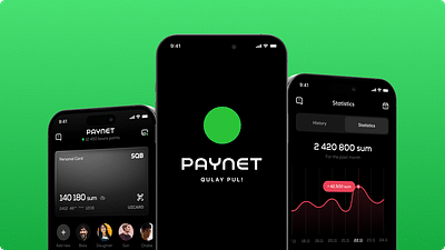 Paynet. Payment system with middle east flavor. - Ergonomie (UX/UI)