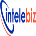 Intelebiz Software Pvt Ltd.