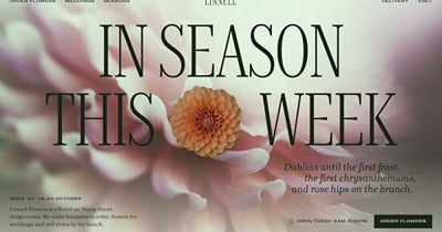 Linnell Flowers — florist website - Website Creatie