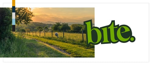 Bite Design cover