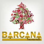 BizArcana logo
