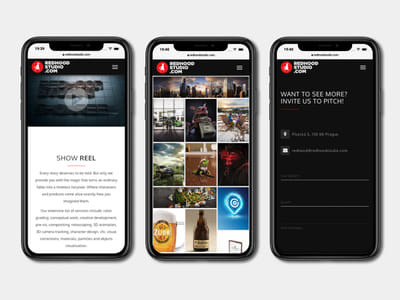Redhood Studio Company website - Website Administration