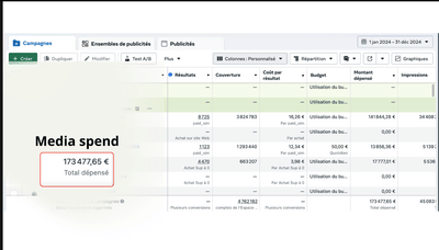 +8 700 conversions générées grâce à une stratégie sur Meta Ads - Online Advertising
