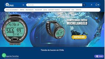 Desarrollo web E-commerce - Advertising