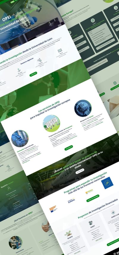 Diseño de página web para OPEI - Création de site internet