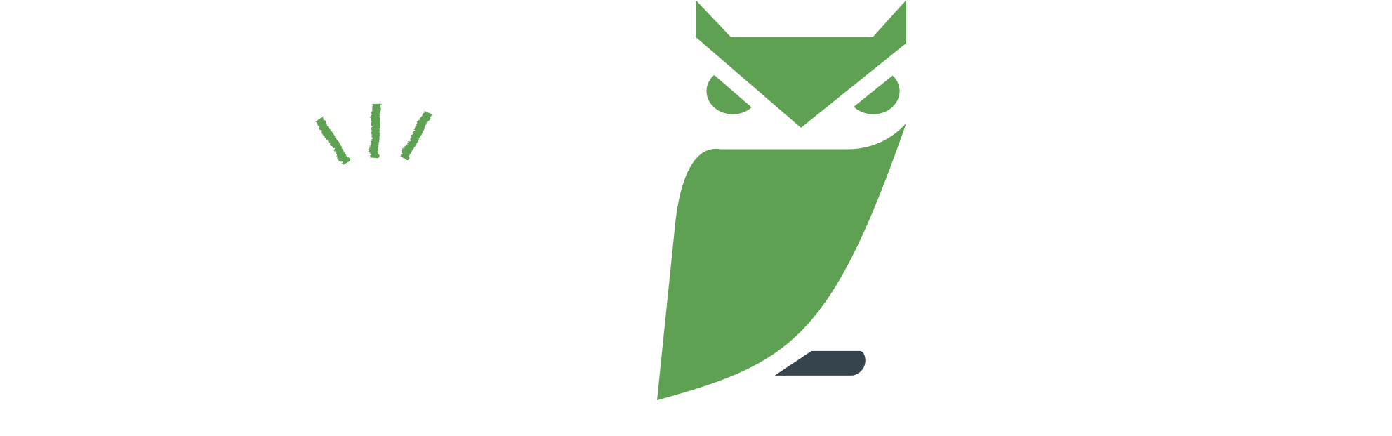 LoudOwls Solutions Private Limited