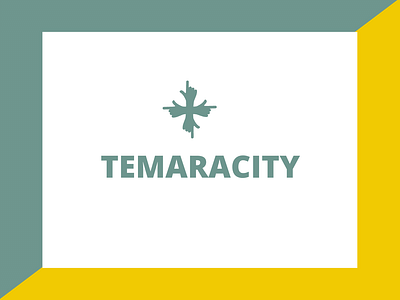 Campagne d'Influence Digitale pour temaracity - Design & graphisme