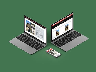 Equidiva : migration Shopify d'urgence et stratégie e-marketing - E-commerce