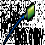 Perfect Data Entry logo