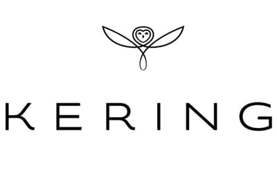 Mise en conformité et Gouvernance du groupe Kering - Artificial Intelligence