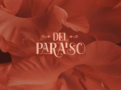 Del Paraiso - Branding & Positionering